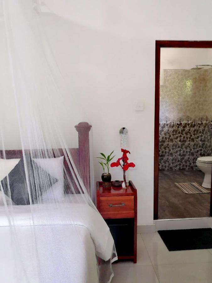Tantra Ella Lodge Extérieur photo